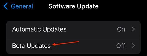How to Uninstall iOS or iPadOS Beta So.